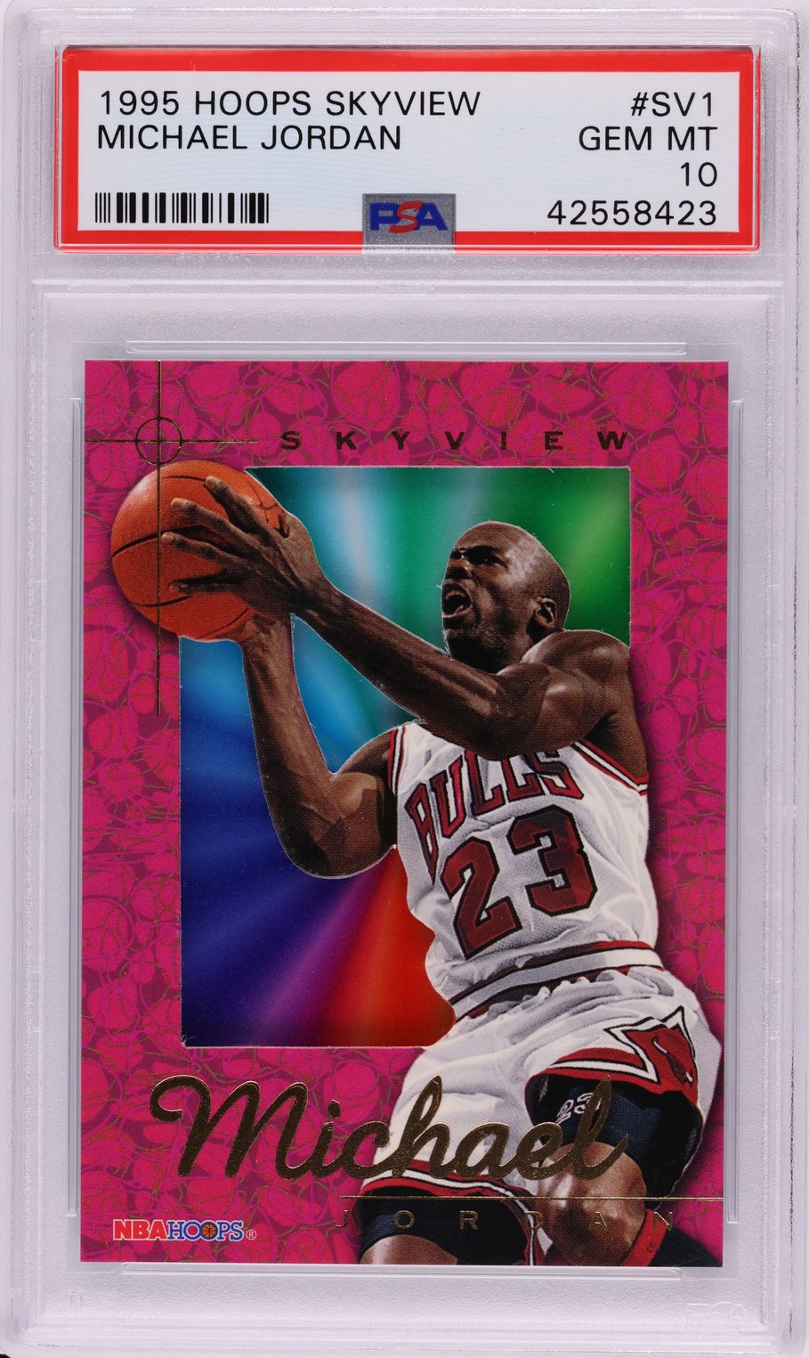 1995 Hoops Skyview #SV1